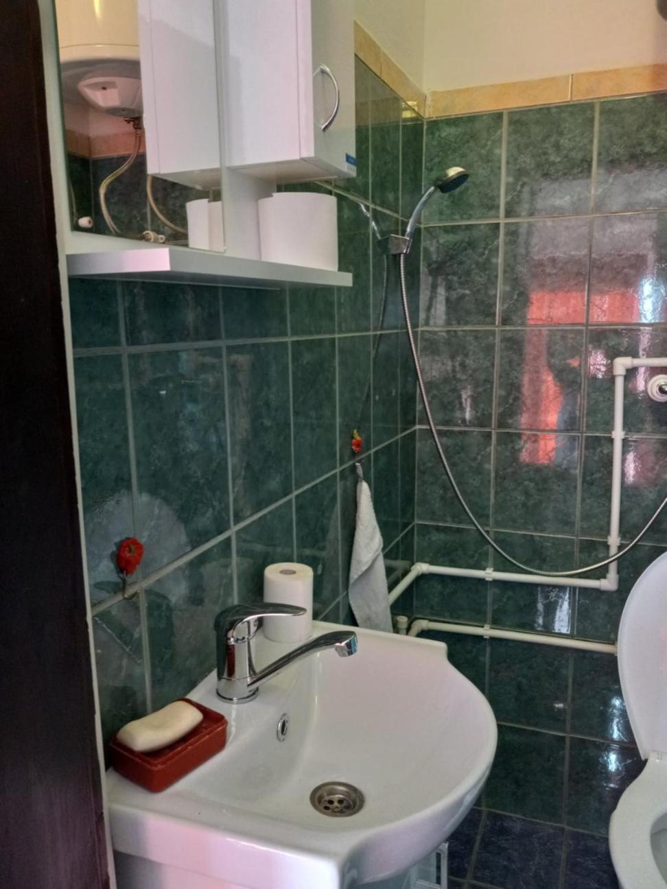 Apartament Apartman Sani Donji Milanovac Zewnętrze zdjęcie