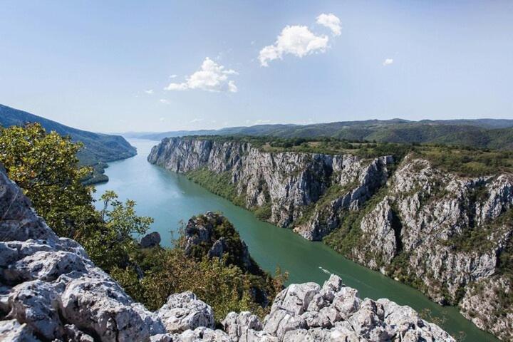 Apartament Apartman Sani Donji Milanovac Zewnętrze zdjęcie